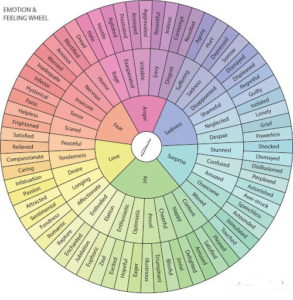 What are Emotions – Knowledgeable Machines